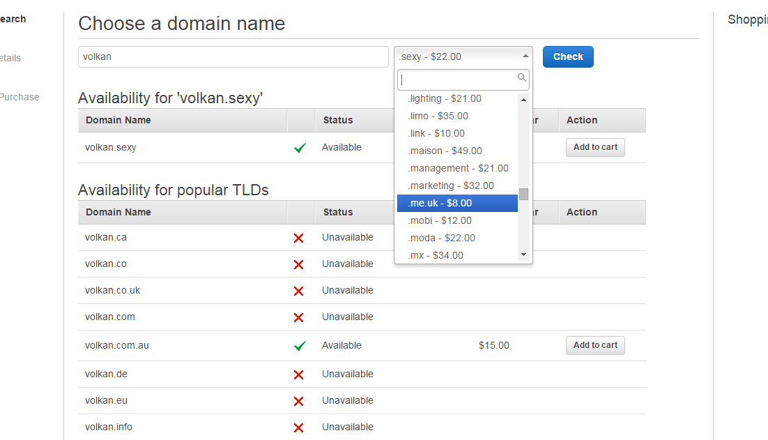 Domain search in Route 53