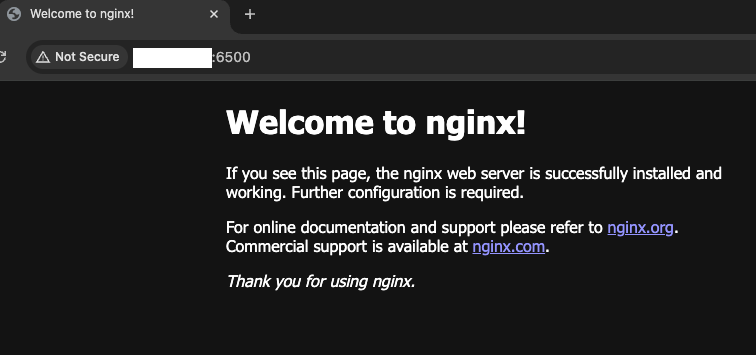 nginx running on port-6500