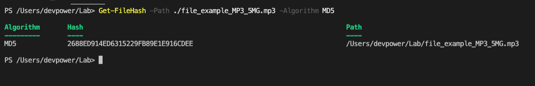 Terminal window showing the successful output of Get-FileHash cmdlet 