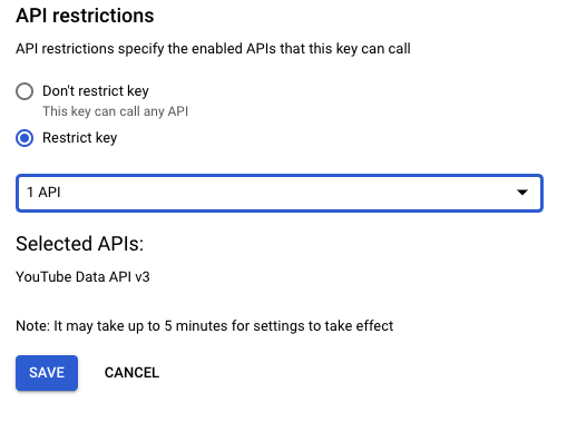 Restrict API usage yo YouTube