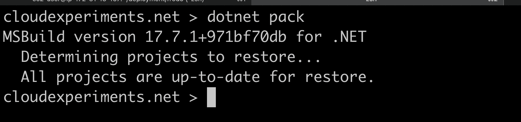 The output of dotnet pack command