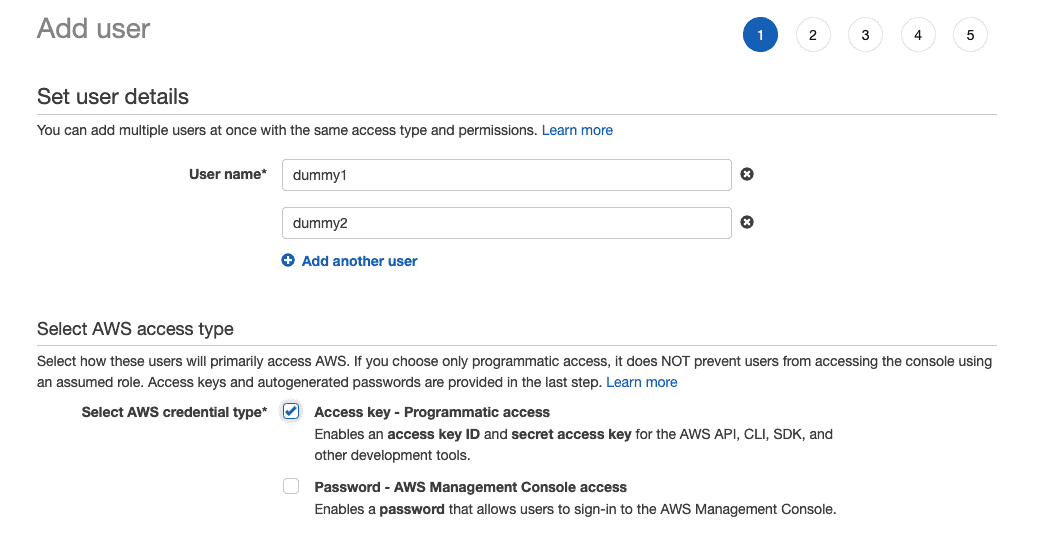Add user page showing dummy1 and dummy2 users being created and Access key - Programmatic Access is checked as credential type.