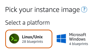 Select operating system image