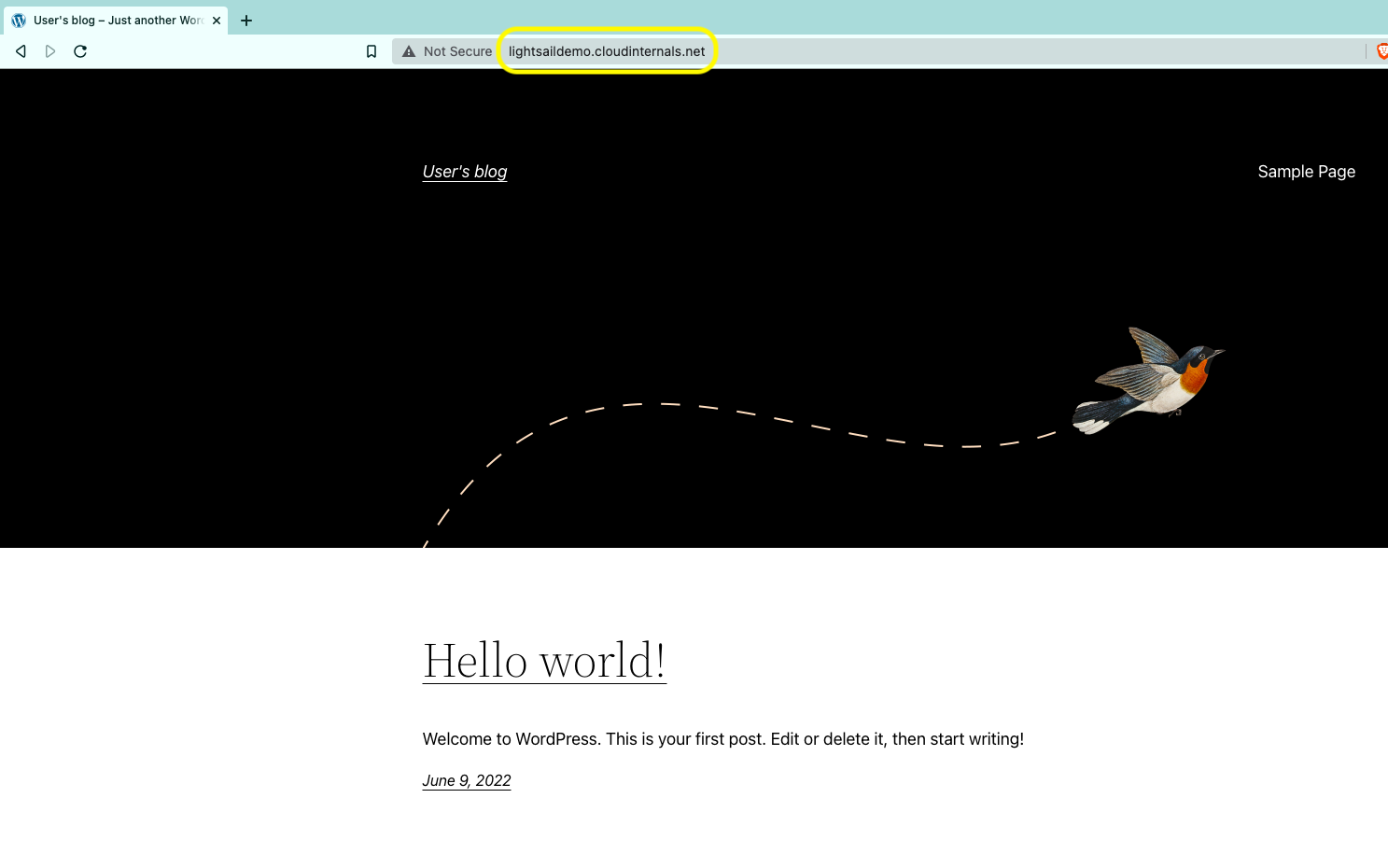 Test blog with the custom domain