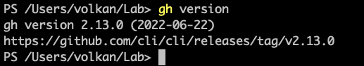 Terminal window showing output of gh version command