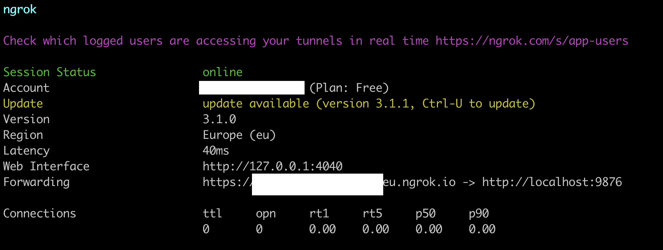 ngrok output showing the traffic is routed to localhost:9876