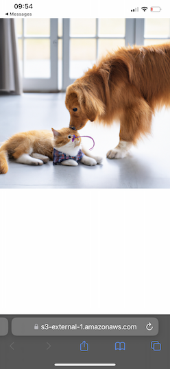 Generate images with DALL·E 2 and Twilio SMS using ASP.NET Core - image 13