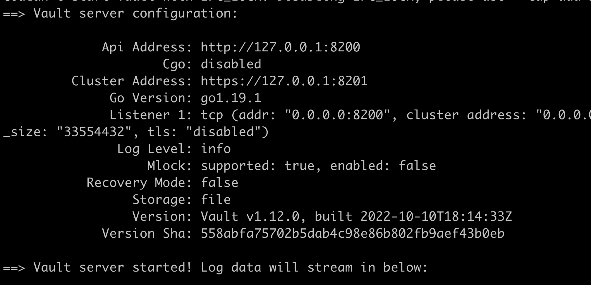 How to get secrets from HashiCorp Vault into .NET configuration with C# - image 17